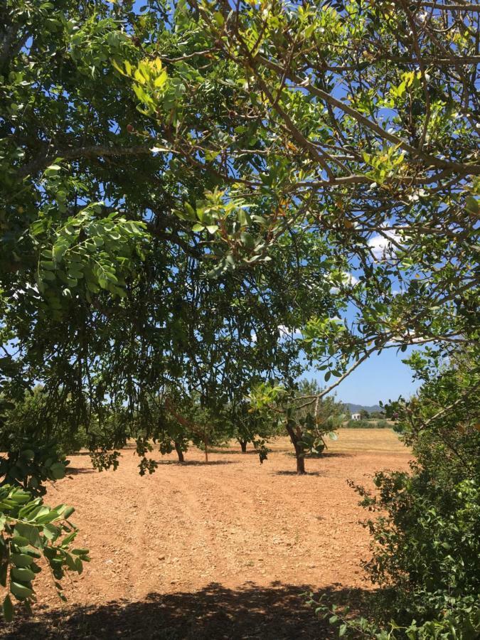 Finca Es Vinyet Villa ปอร์เรเรส ภายนอก รูปภาพ